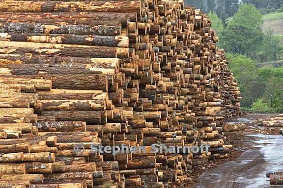 lumber mill 